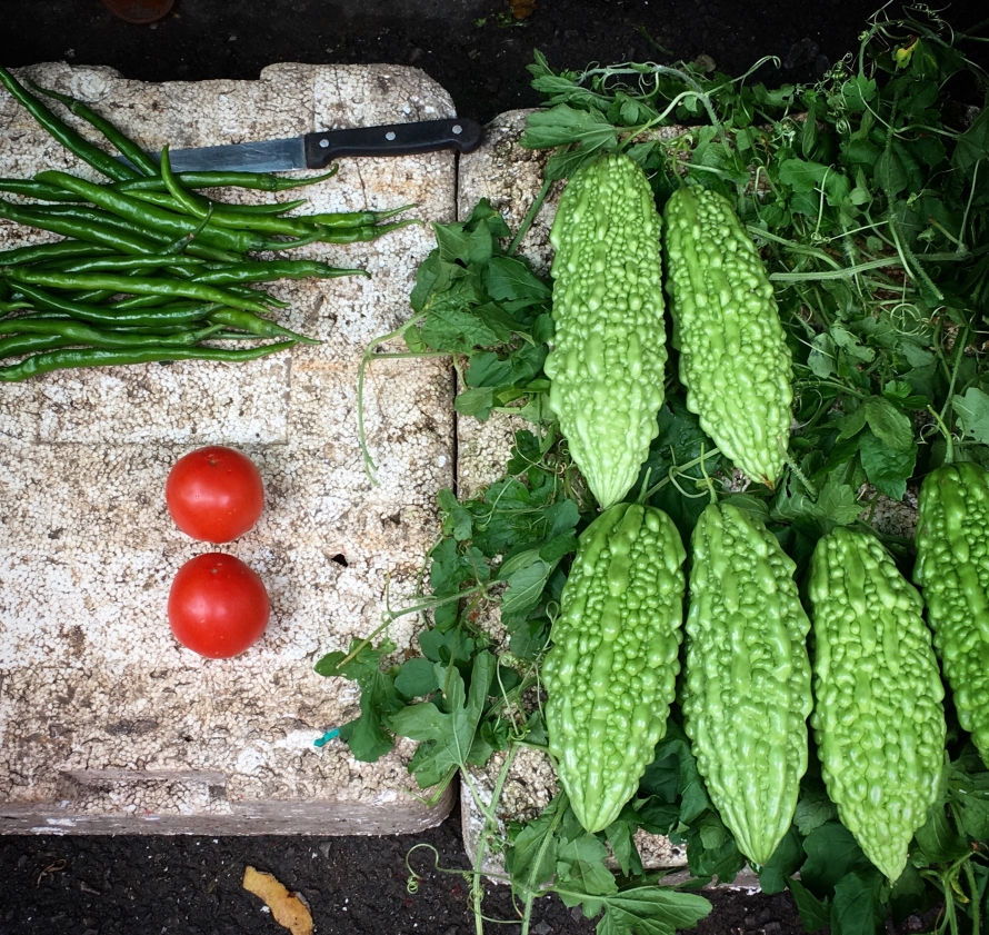 Advantages of bitter outlet gourd