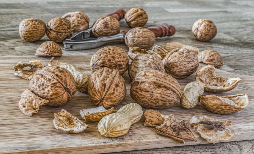 The Marvels of Walnut Shells - Mekosha